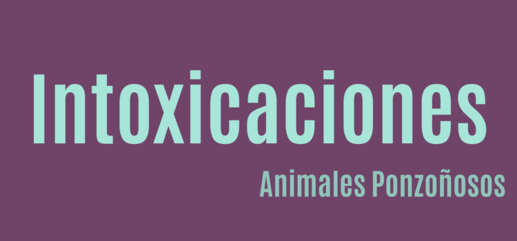 Intoxicaciones por Animales Ponzoñosos